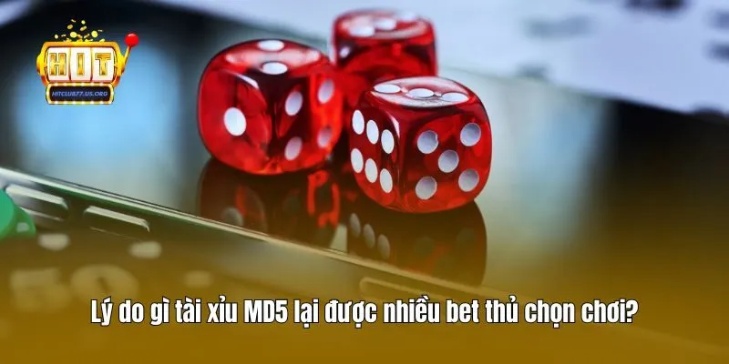 Lý do gì tài xỉu MD5 lại được nhiều bet thủ chọn chơi?