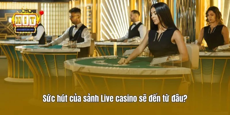 Sức hút của sảnh Live casino sẽ đến từ đâu?